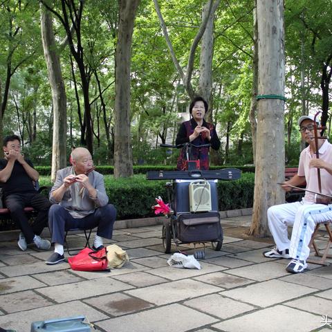 济南市哪里有批发金鱼的