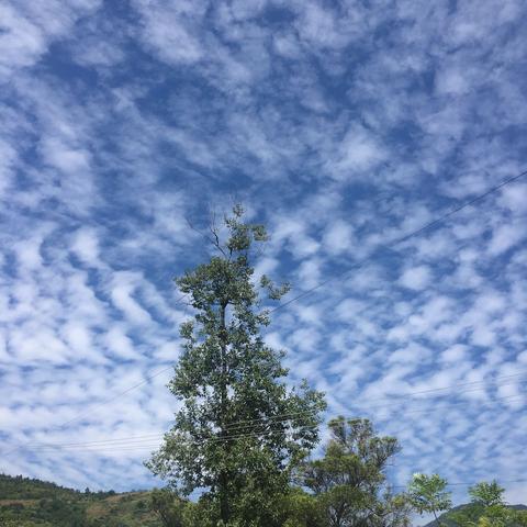 现在云南天气怎么样