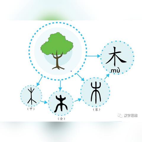 哪十二生肖金木水火土怎样搭配旳_十二生肖五行金木水火土对照表