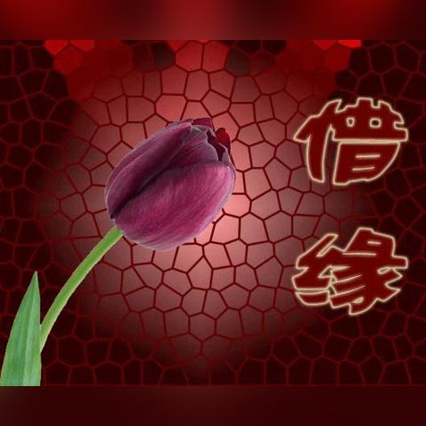 七杀在夫妻宫是什么意思(七杀在夫妻宫配偶长相)