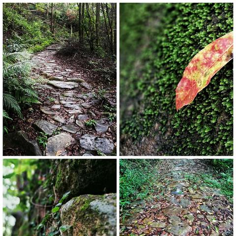 厦门市同安区去哪里玩