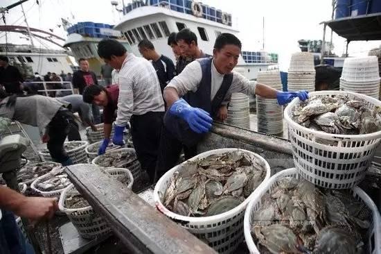 什么什么唯有美食不可错过（中国有哪些名吃具有其诞生的历史故事）