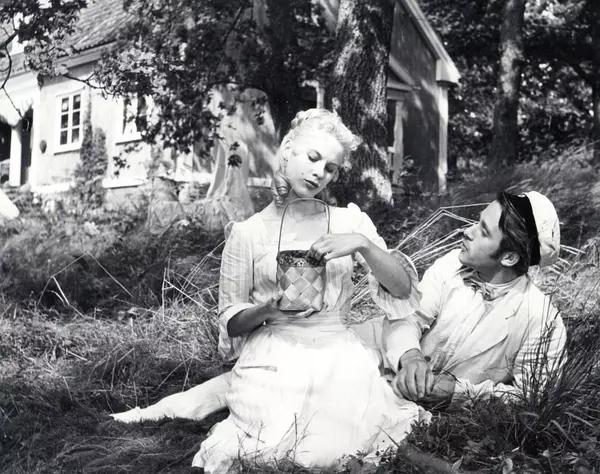 梦回旧地，寻觅往昔工作单位的狗影与自我觉醒