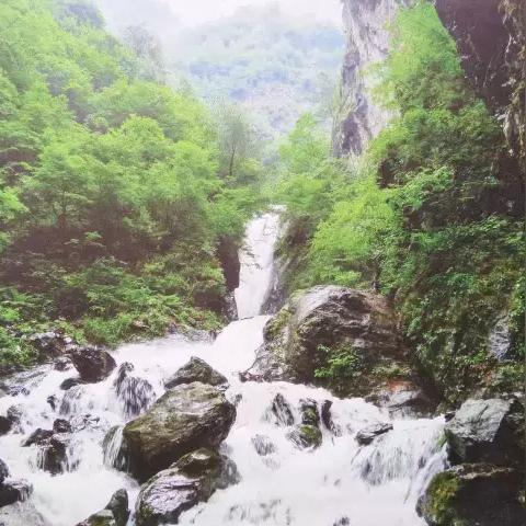 兰州市哪里回收玻璃渣的