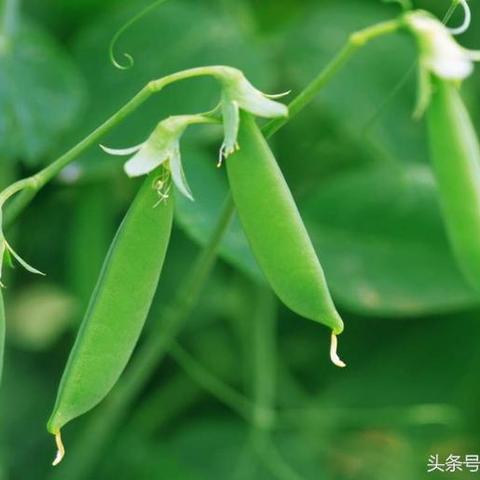 二实验是初中还是高中？