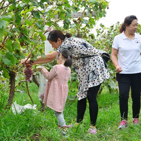 气候的两大因素有什么
