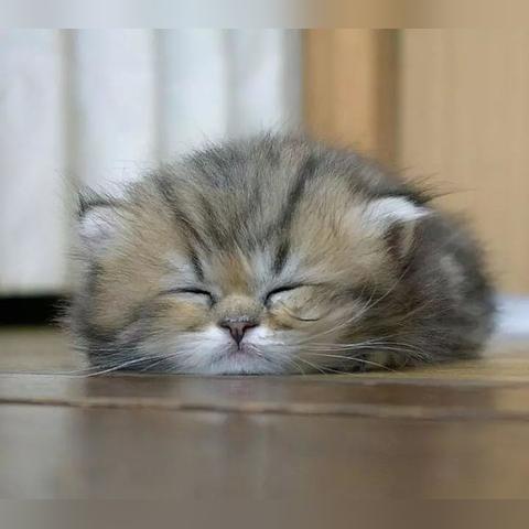 蹲河南的相关长尾关键词有哪些