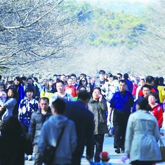 青岛3月份气温查询的长尾关键词有什么