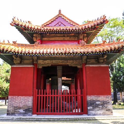 流年运势揭示你的健康长寿密码