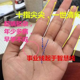 兰州市纹管家怎么样