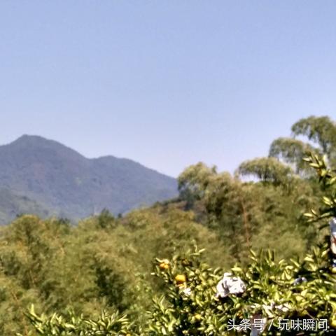 近期福建气温怎么样