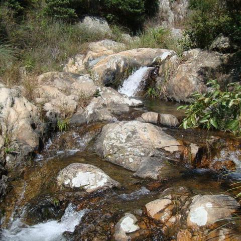 2025.12.31厦门今天空气质量指数怎么样