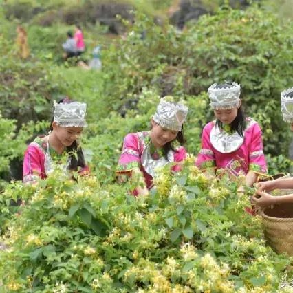 长沙农家留香相关长尾关键词有哪些