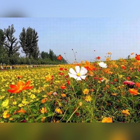 保定市攀岩比赛的长尾关键词有什么