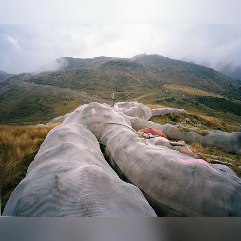 2025兔生肖月运势(属兔2025年是什么年)