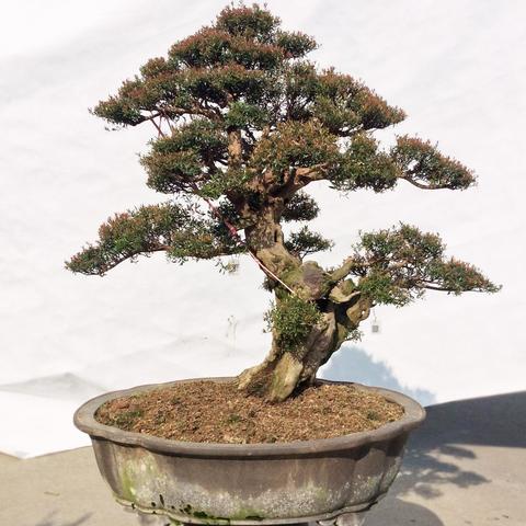 福建战胜湖南哪个城市