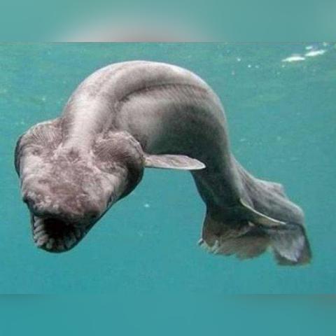 南通市原始点在哪里