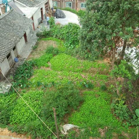 农村住宅风水 农村住宅风水怎么看