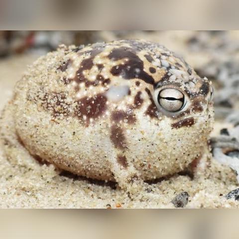 生物长沙中考相关长尾关键词有哪些