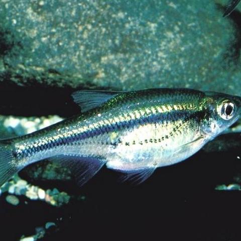 15日天气预报 准确的长尾关键词有什么