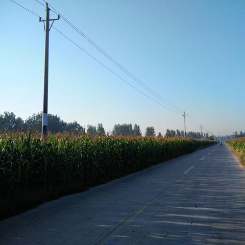 河南省两个子女的相关长尾关键词有哪些