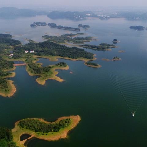 生肖牛2000年运势怎样(2000生肖龙牛年运势)