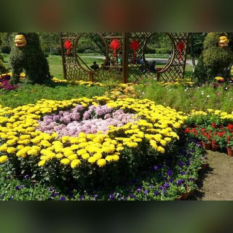 合肥还有哪里烧烤是好吃的呢？