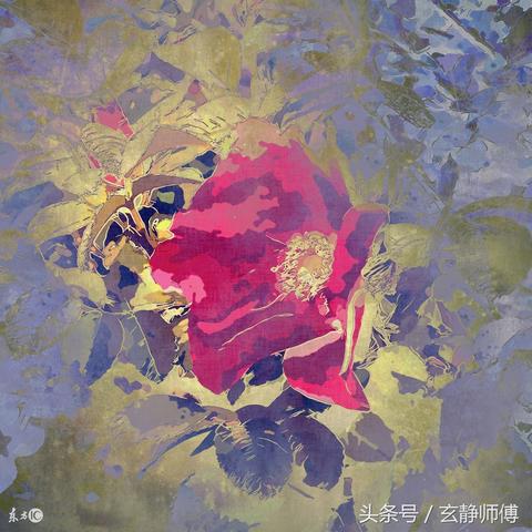 七杀格可以走印运吗(七杀格走七杀运好不好好)