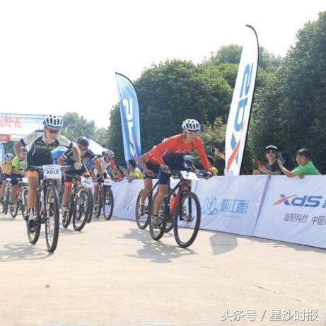 长沙市江背镇有什么厂吗