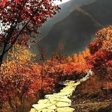 济南市先行区有哪些村庄