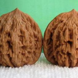 夹板核桃鉴别图片大全的长尾关键词是什么