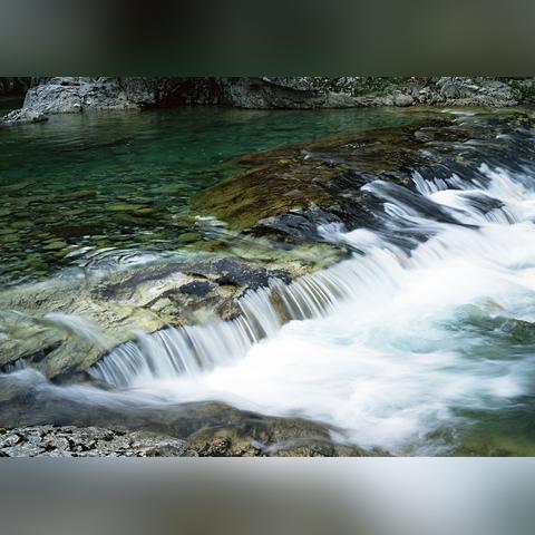 上海有哪些低温奶