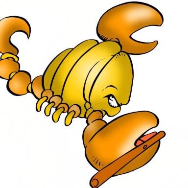 生肖星座运势推荐男孩子(生肖运势不好星座运势好到底信哪个)