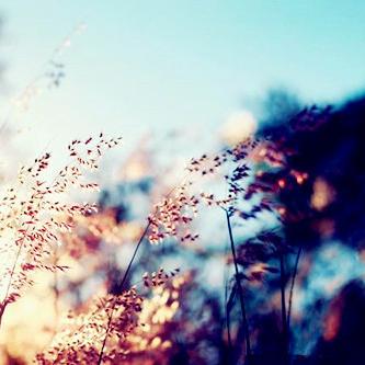 “你的八字喜忌不明？三步找准命理关键点”