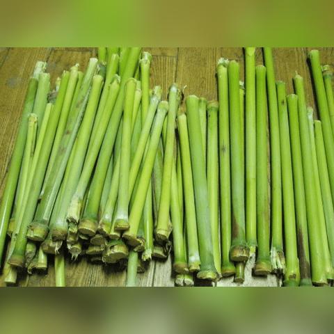 玉米能做什么零食的长尾关键词有哪些