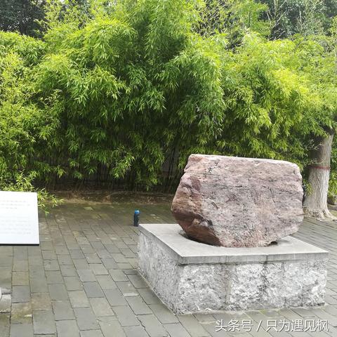 河南话学摸的相关长尾关键词有哪些