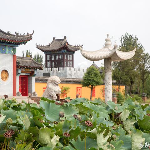 临沂市有几家寺庙的长尾关键词有哪些