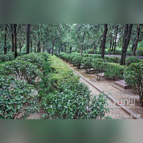 济南哪边没山？