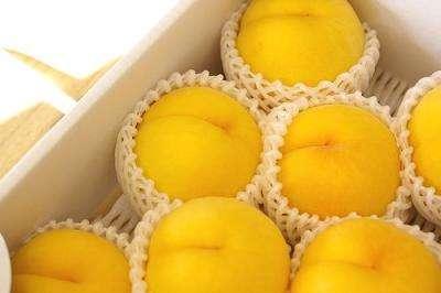 河北保定美食是什么（保定有名的糕点）