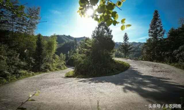 梦境的迷雾,喜欢一个人为何梦中却现他人身影 梦境的迷雾,喜欢一个人为何梦中却现他人身影