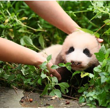 济南市明星店铺有哪些