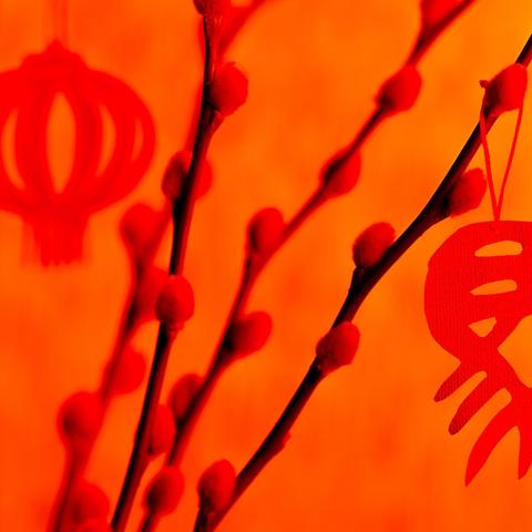 生肖马女下半年婚姻运势(生肖马女下半年婚姻运势如何)