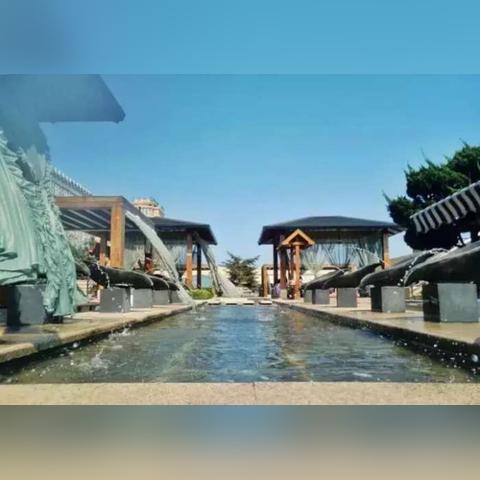 大连市哪个泳池比较好点