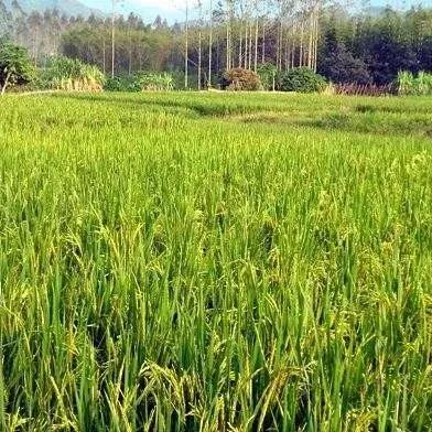东莞到桂林物流专线相关长尾关键词有哪些