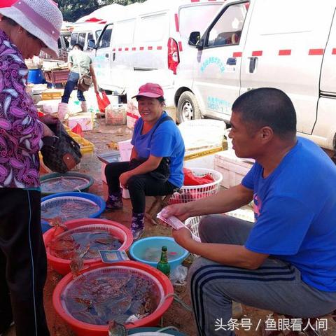 南通市哪里有梭子蟹买