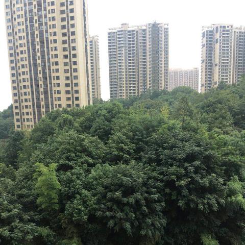 长沙市边上的市？
