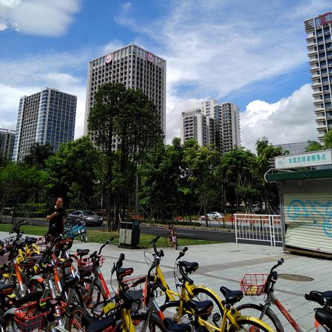 东莞市免费领狗在哪里