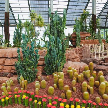 南通室内假山鱼池样式图相关长尾关键词有哪些