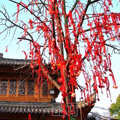 吉林长春市有月老庙吗的长尾关键词有什么