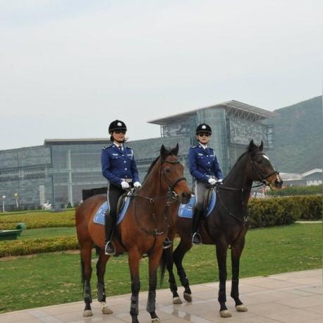 大连市文体街是哪个区的